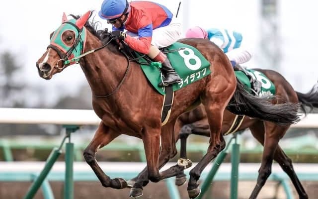 重馬場のエリザベス女王杯で2着 唯一斤量54キロの4歳牝馬が日経賞制覇へ