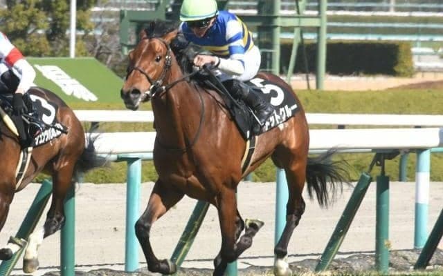 【毎日杯展望】直線が長い阪神外回りでも構えすぎると届かない