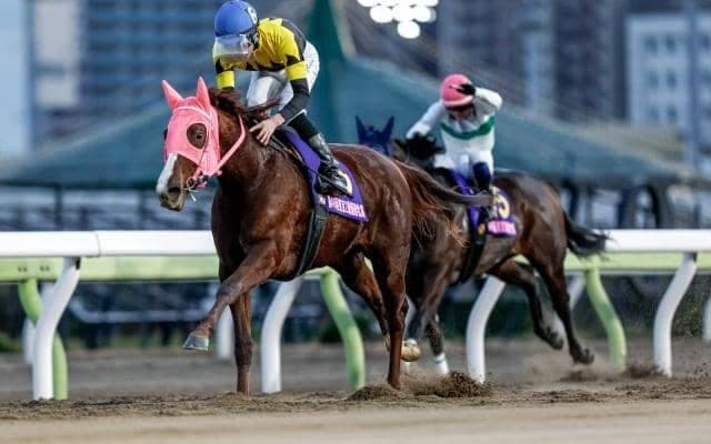 【浦和・桜花賞注目馬】一足早い桜決戦 昨年の2歳女王メイドイットマムなどが出走予定