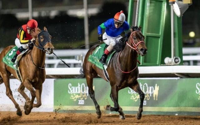 【ドバイワールドカップデー】日本馬の近況（3月21日）