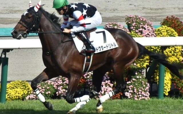 勢い十分なデクラレーションオブウォー産駒 毎日杯で2週連続重賞制覇へ