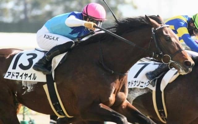 産駒初勝利を届けたサクソンウォリアーの仔 毎日杯でJRA重賞初制覇なるか