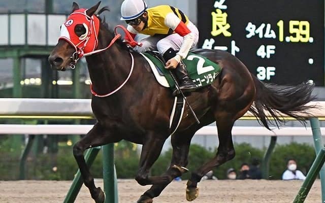 【海外競馬】豪G1出走のユニコーンライオンとホウオウアマゾンが現地到着