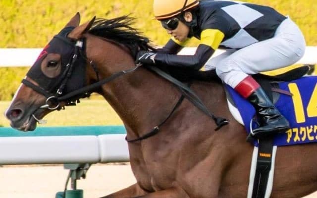 日経賞のアスクビクターモアに逆風？ 菊花賞馬7連敗中の不穏なデータとは
