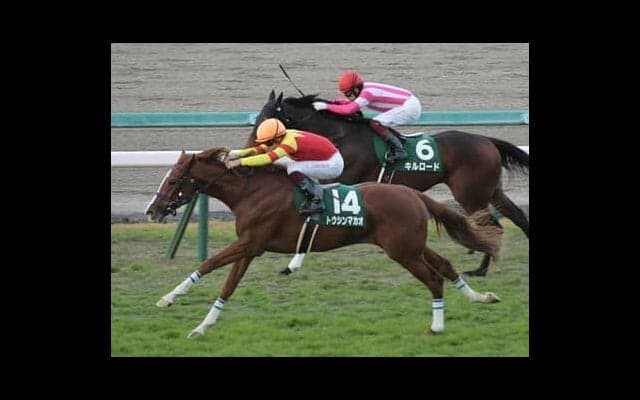 高松宮記念はサクラバクシンオーの血を持つ４歳馬の「父仔制覇」に期待 対抗もスプリンターの資質を秘める良血馬