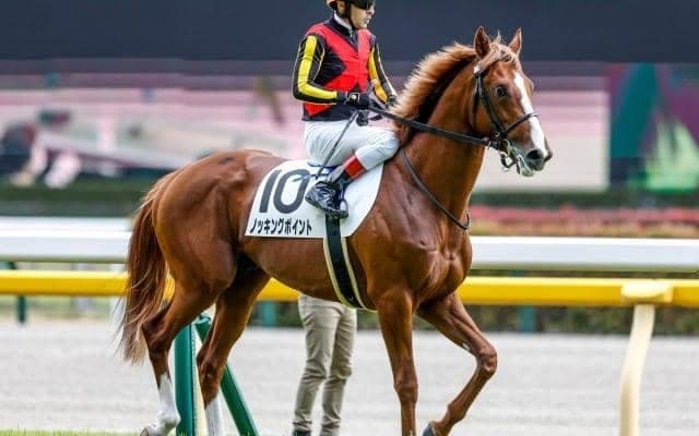 【毎日杯出走馬・騎手確定】キングズレイン＆岩田康誠騎手、ノッキングポイント＆藤岡佑介騎手など13頭