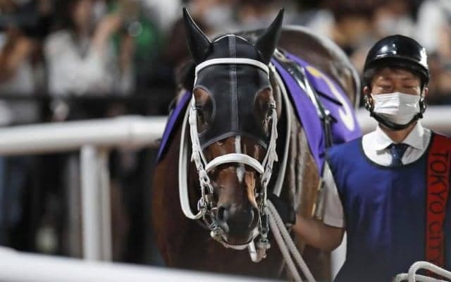 【マーチS出走馬・騎手確定】ハピ＆横山典弘騎手、ウィリアムバローズ＆横山武史騎手など16頭