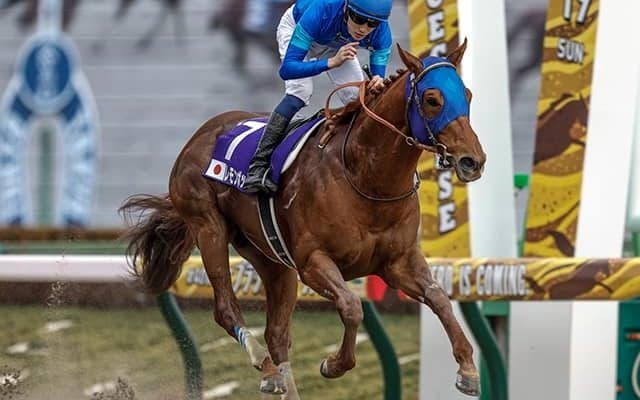 【ドバイGS枠順】レモンポップは6番ゲート リメイク9番ゲートに