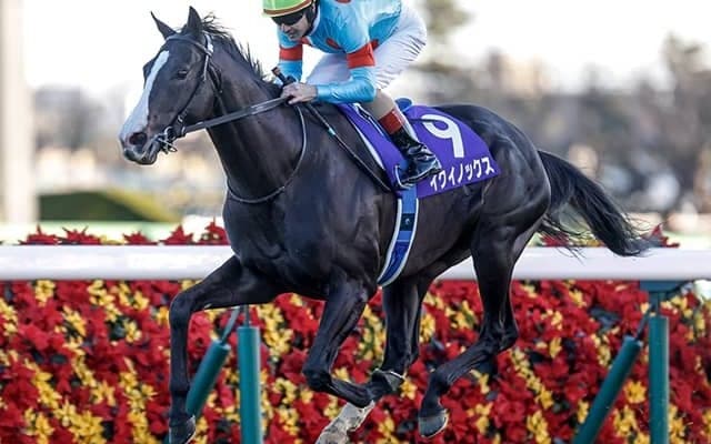 【ドバイSC枠順】イクイノックスは6番ゲート シャフリヤール7番ゲートに