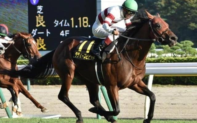 【高松宮記念】ダディーズビビッドの千田輝彦師 騎手時代を含めて13回目のGI挑戦で初制覇なるか