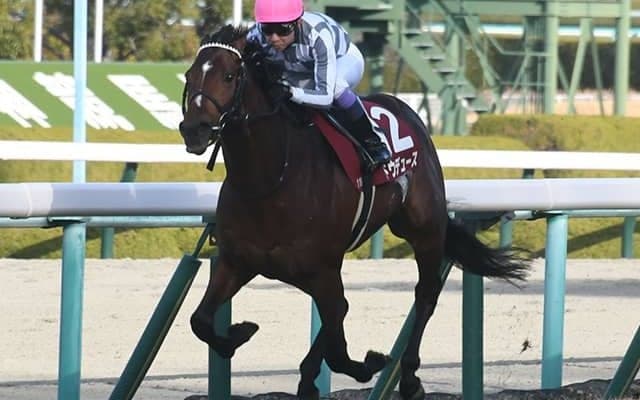 【ドバイターフ枠順】ドウデュースは13番ゲート セリフォス5番ゲートに