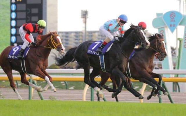 【ドバイシーマクラシック】イクイノックスは6番ゲートへ