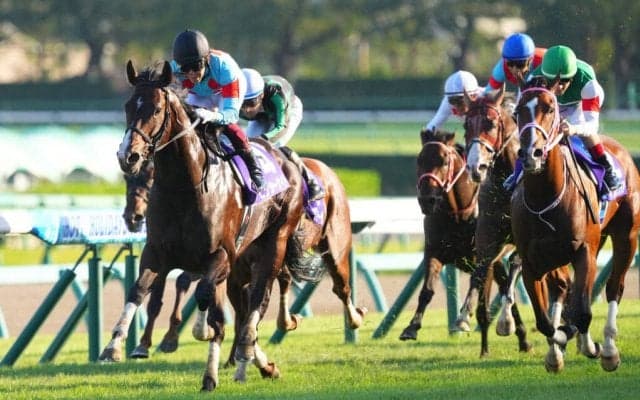 【高松宮記念】出走馬の調教後の馬体重