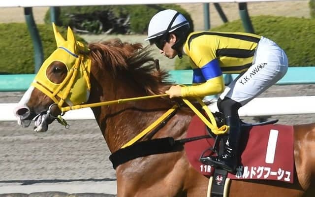 ボルドグフーシュは川田将雅騎手とのコンビ継続で天皇賞(春)へ