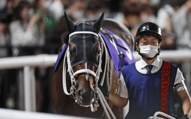 【マーチS枠順確定】ハピは4枠7番、ウィリアムバローズは4枠8番