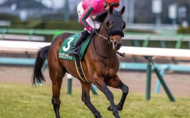 【毎日杯予想】ノーザンファームは別格!? レース間隔が影響する経験の少ない3歳馬