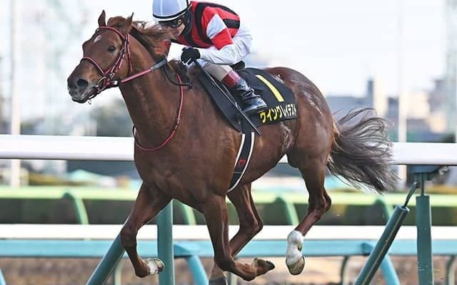 ウイングレイテストやジャスティンカフェなどダービー卿CTに21頭