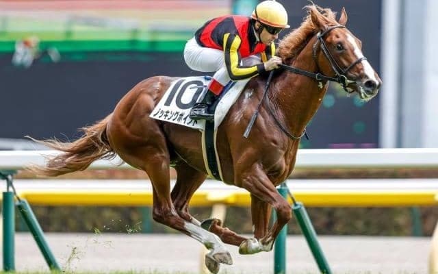 【毎日杯予想】ダービーとの関連性が深いレースでキャリアの浅い馬の戦いっぷりとは