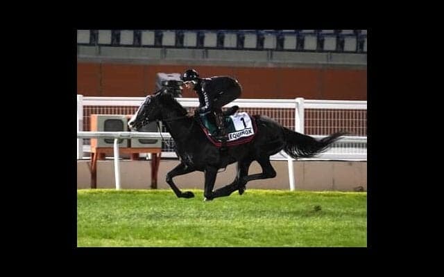 ドバイWCデーの馬券発売４レースで狙うべき「盲点の馬」は？イクイノックスら人気の日本馬たちの陰に実力馬あり