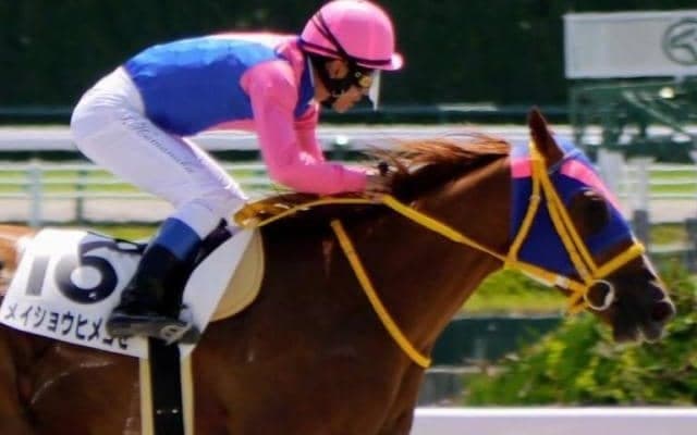 【土曜中京7R】坂路好時計のメイショウヒメゴゼ 中京ダ1400mもベスト