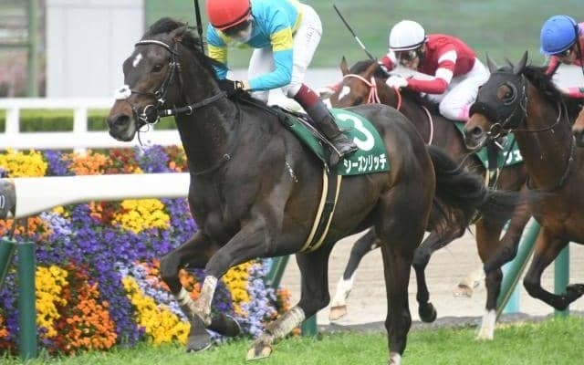 【毎日杯結果】シーズンリッチが抜け出し角田大河騎手と人馬で重賞初V
