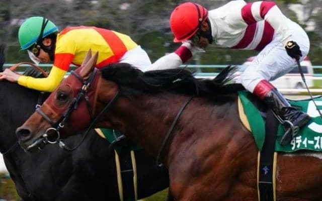 【高松宮記念】Bコース替わりで内枠有利か 左回り得意な2枠4番の伏兵に期待
