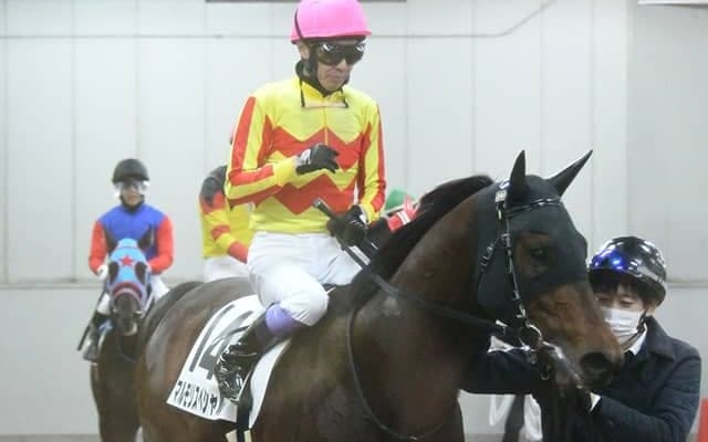 待望の距離短縮でガラリ一変へ 26日阪神12Rはスペシャルな1頭に注目