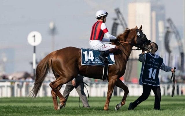 【ゴドルフィンマイル】三浦「朝と砂質も変わっていた」ウインカーネリアンは6着
