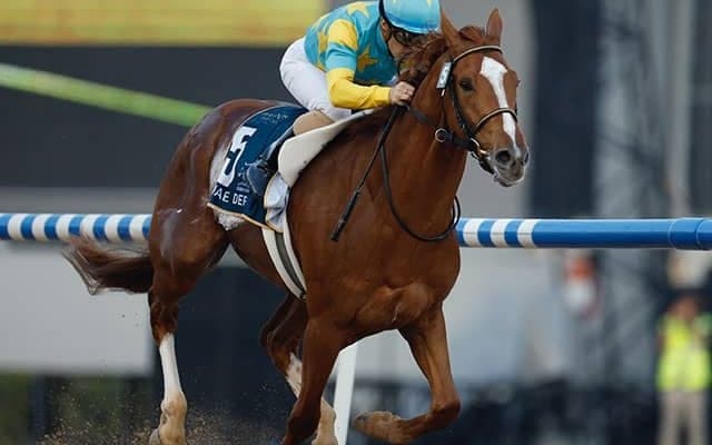 【UAEダービー結果】デルマソトガケが逃げて圧勝 日本馬4着まで独占