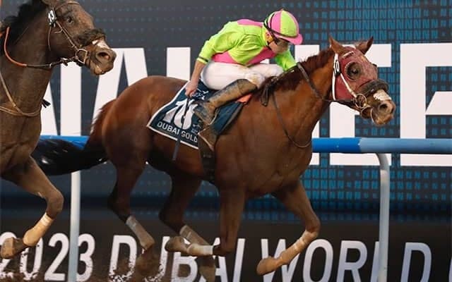 【ドバイゴールデンシャヒーン結果】米シベリウスが接戦を制す リメイクが日本馬最先着5着
