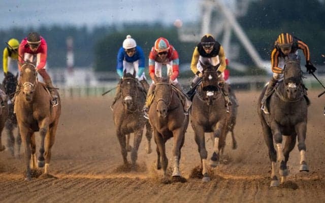 【ドバイゴールデンシャヒーン】日本勢最先着は武豊リメイク…米シベリウスが抜け出す