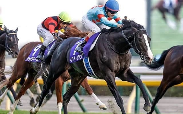 【ドバイシーマクラシック結果】強すぎる！イクイノックスが持ったまま逃げ切りレコードV