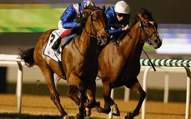 【ドバイターフ結果】英ロードノースが3連覇達成 ダノンベルーガ猛追も2着