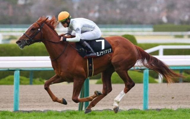 【君子蘭賞】キミノナハマリアが人気に応える…3馬身差完勝