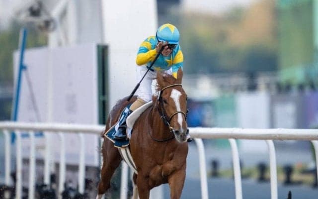 【UAEダービー】デルマソトガケが逃げ切りV…日本勢ワンツースリーフォー