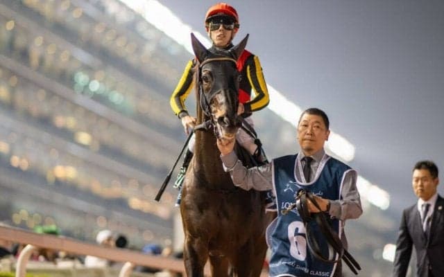 【ドバイシーマクラシック】藤原英師「勝ち馬が強かった」シャフリヤールは5着