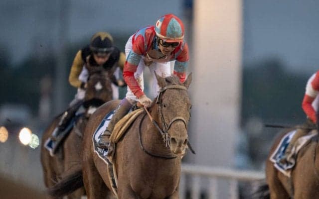 【ドバイゴールデンシャヒーン】武豊「世界のトップレベルでやれる馬」リメイクは5着