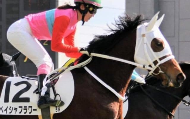 父はJBCスプリント覇者ペイシャフラワーが26日中京1Rで初ダート挑戦 芝では現在複勝率100％