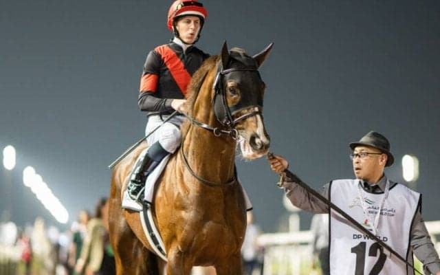 【ドバイターフ】中内田師「距離の壁という面も…」セリフォスは伸びきれず5着