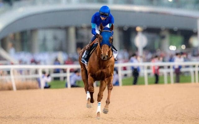 【ドバイゴールデンシャヒーン】坂井「こんなに負ける馬ではない」レモンポップは10着敗退