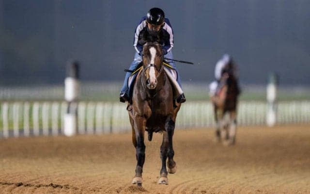 【ドバイターフ】モレイラ「理想より一列後ろ」レース後、関係者コメント