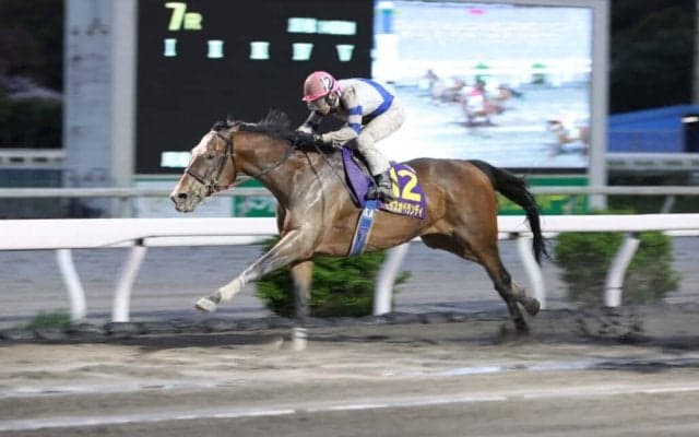 【高知・御厨人窟賞】赤岡「やっぱり馬が強い」モダスオペランディがレースレコードでV