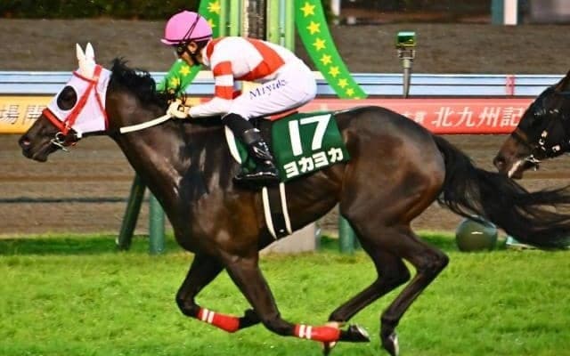 “熊本の星”ヨカヨカに初仔誕生 父キズナの牡馬