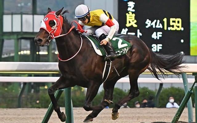 【JRA】豪G1クイーンエリザベスSの勝馬投票券を発売