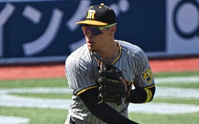 【阪神】見えてきた岡田彰布監督の「使える選手、使えない選手」の選別　ボーダーとされる「ポイント」