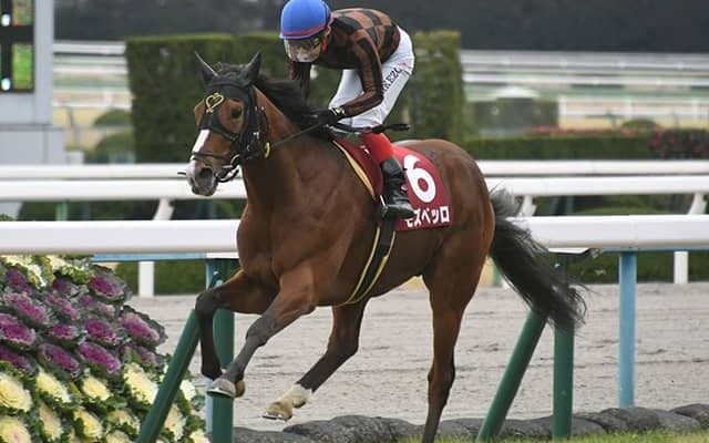 『魔族紳士』『妙歌』はどの馬？ 大阪杯18頭の香港馬名・馬名意味を紹介！ 