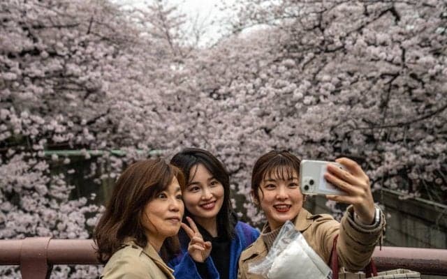 もしも日本代表が桜をモチーフにしたユニフォームを作成したら…海外メディア紹介の1枚に賛否「美しい」「血管に見える」