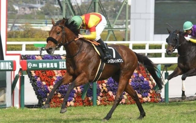 【ダービー卿CT予想オッズ】ジャスティンカフェが予想1番人気