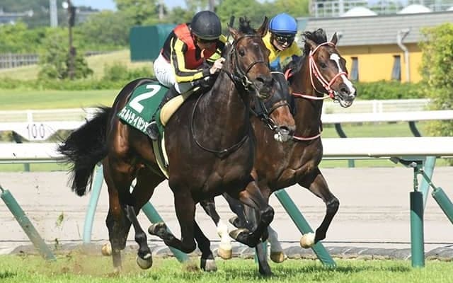 ウシュバテソーロなど現6歳世代は絶好調 13年ぶり6歳馬の大阪杯制覇へ3頭が参戦