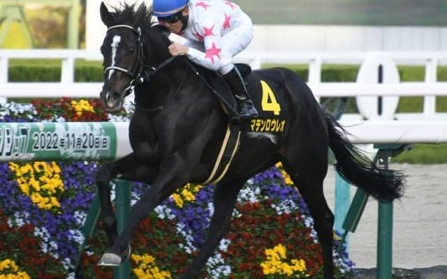 【大阪杯展望】コース適性が求められるレース、伏兵マテンロウレオに期待したい